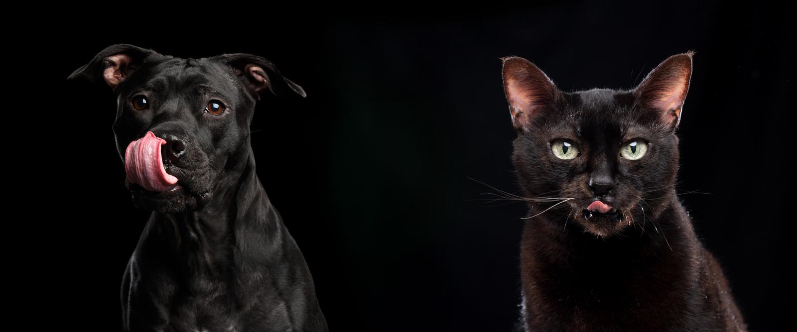 Pets Deli - Für dich nur das Beste!